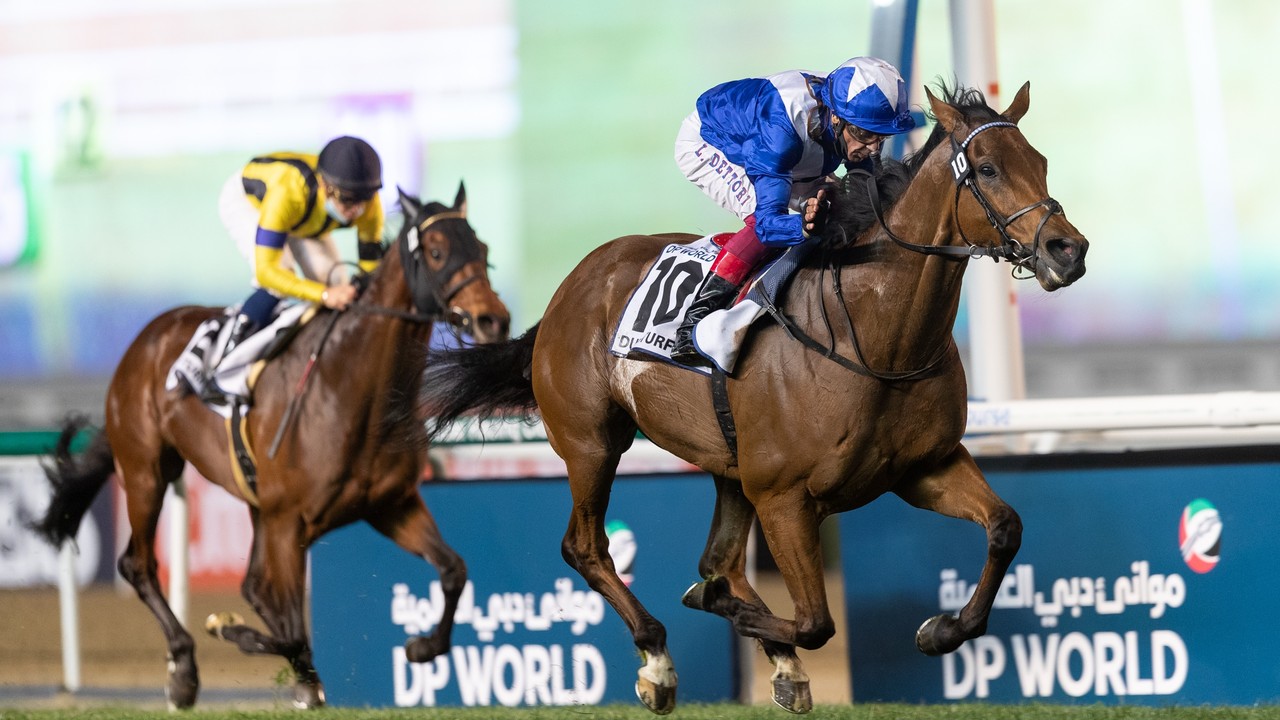 Review: Gosden's Lord North Claims Gr.1 Dubai Turf Feature Image 2